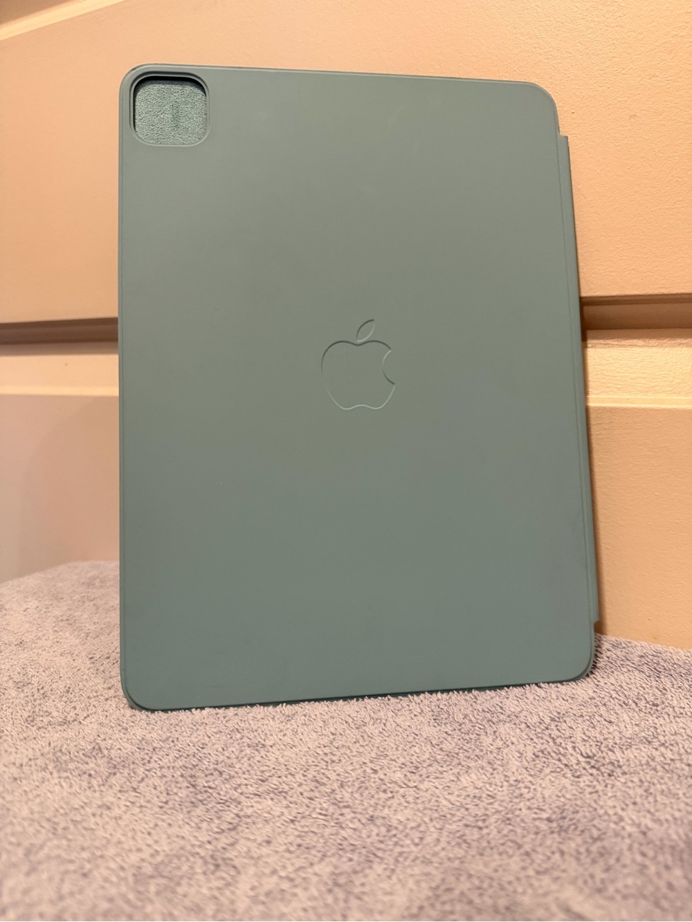 Apple Smart Folio for iPad in Seafoam